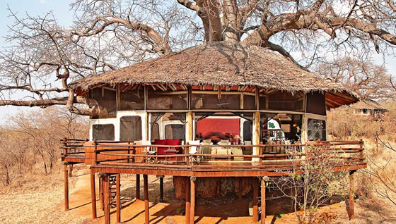 Tarangire Tree Tops Lodge